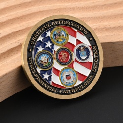 metal zinc alloy two tone plated enamel challenge coin